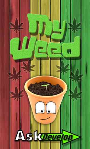 My Weed - Cultivar Marihuana 1