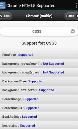 HTML5 Supported for Chrome? 2