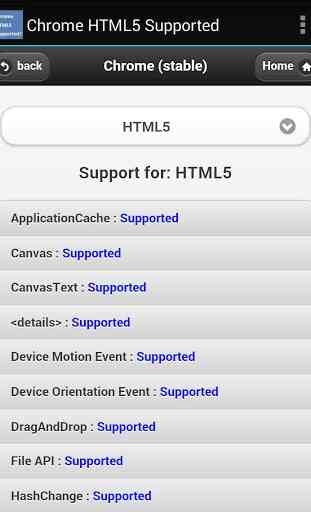 HTML5 Supported for Chrome? 3