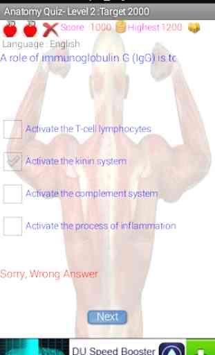Human Anatomy Cuestionario 2