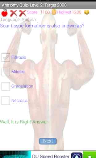 Human Anatomy Cuestionario 4