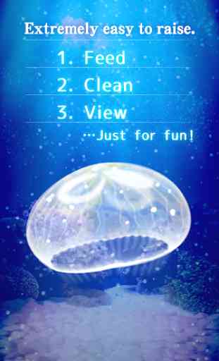 Jellyfish Pet 2