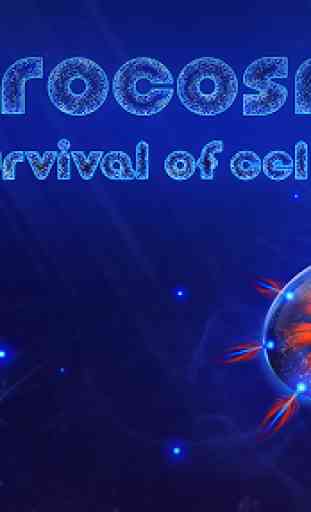 Microcosmum: survival of cells 1