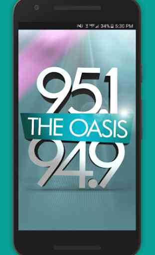 95.1/94.9 The Oasis 1