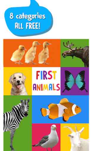 First Words for Baby: Animals 1