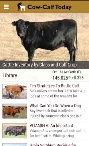 Cow-Calf Today 1