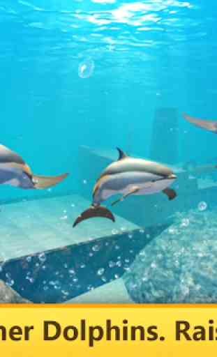 Océano Dolphin Simulador 3
