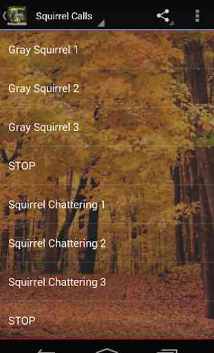 Squirrel Calls 2 2
