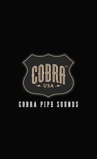 Cobra Exhaust Sounds 1