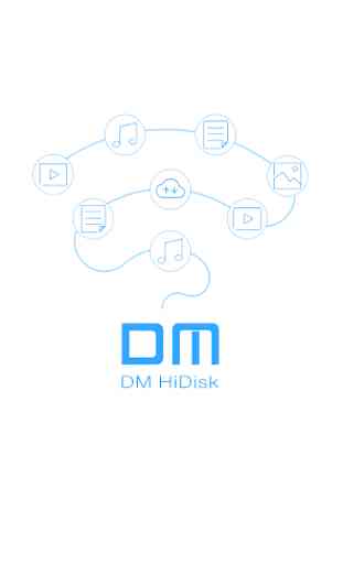 DM HiDisk 1