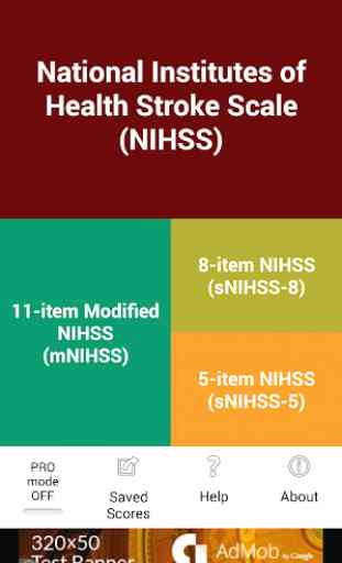 NIH Stroke Scale (NIHSS) 1