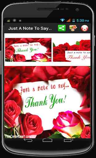 Thank You Cards 2