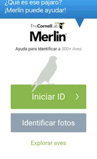 Merlin Bird ID de Cornell Lab 1