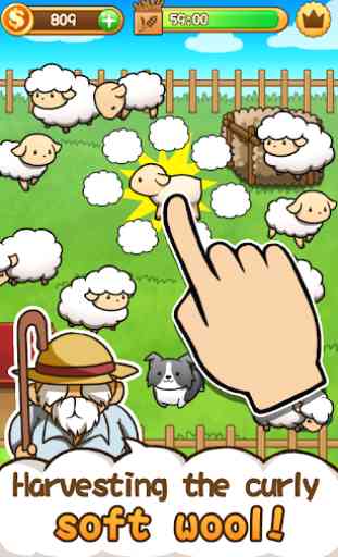 Baw Wow sheep collection 2