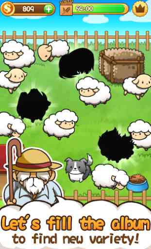 Baw Wow sheep collection 3