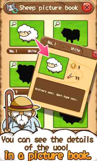 Baw Wow sheep collection 4