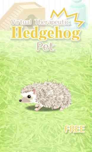 Hedgehog Pet 1