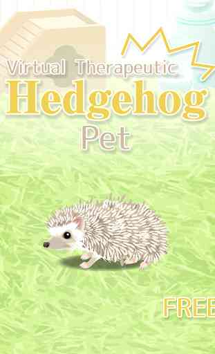 Hedgehog Pet 4