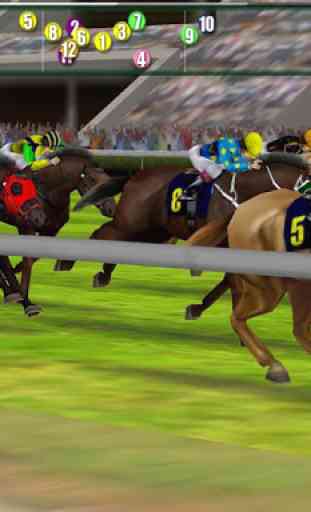 iHorse Betting: Apuestas de carreras de caballos 4