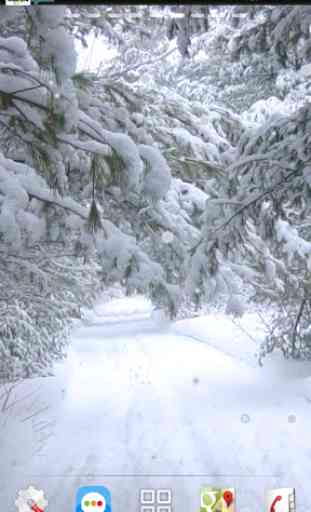 nevadas invierno carretera lwp 4