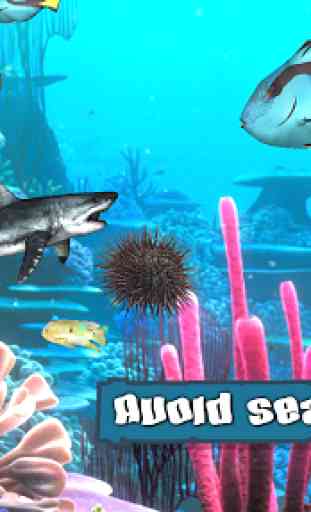 King of the Fish Tank: It's a fish eat fish world 4