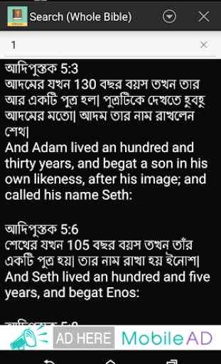 Bengali English Bible 4
