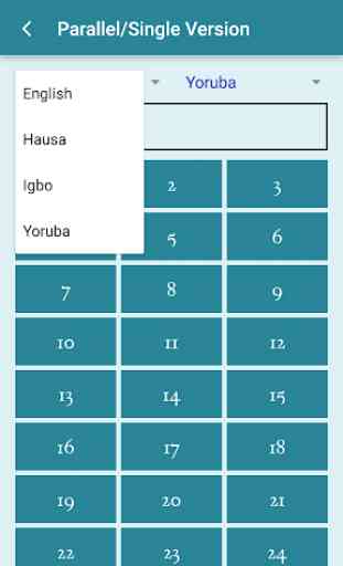 Yoruba,Igbo,Hausa Bible 2