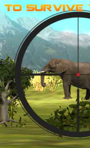 Caza de elefantes reales 1