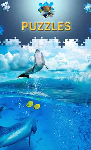 Puzzles de delfines gratis 3