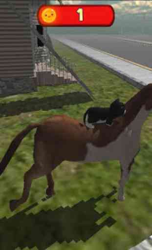Simulador de gato piloto : monta en moto y caballo 4