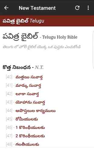 Telugu Bible 2