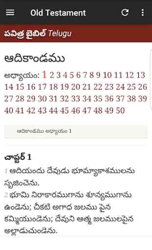 Telugu Bible 3