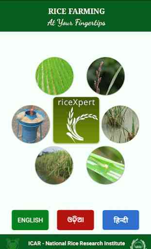 riceXpert 1