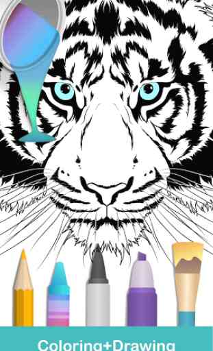 2020 for Animals Coloring Books 1