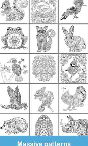 2020 for Animals Coloring Books 4