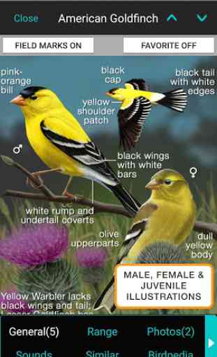iBird Yard Plus Guide to Birds 1