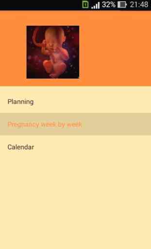 Pregnancy week by week. Pregnancy Calendar. 1