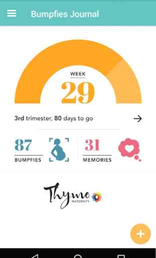 Bumpfie by Thyme Maternity 1