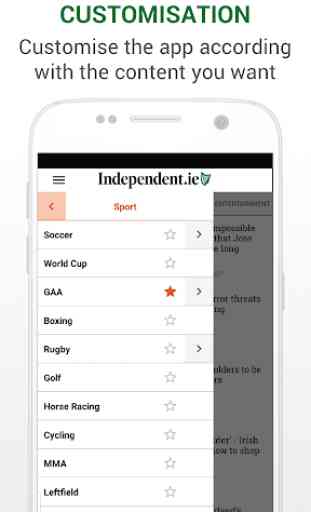 Irish Independent News 3