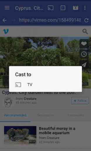 ReCaster - online videos to anywhere (Chromecast) 3