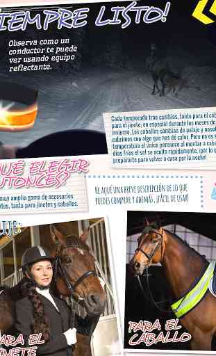 Lucky Horse Magazine LHM 4