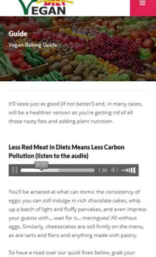 Vegan Diet Plan 3