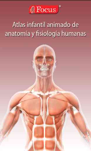 Atlas anatomía 1