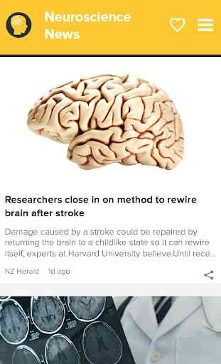 Neurociencia 24h Mente&Cerebro 3