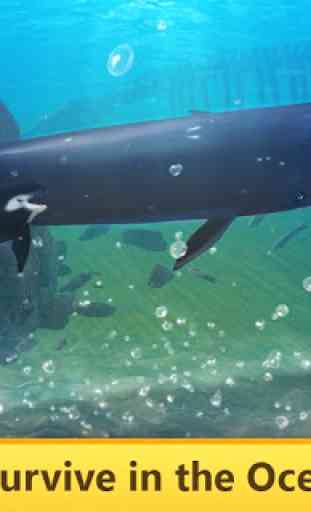 Ocean Whale Simulator Quest 2