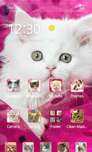 Pink Persian white Cat theme 1