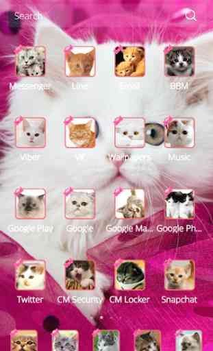 Pink Persian white Cat theme 2