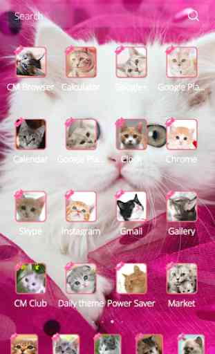 Pink Persian white Cat theme 3
