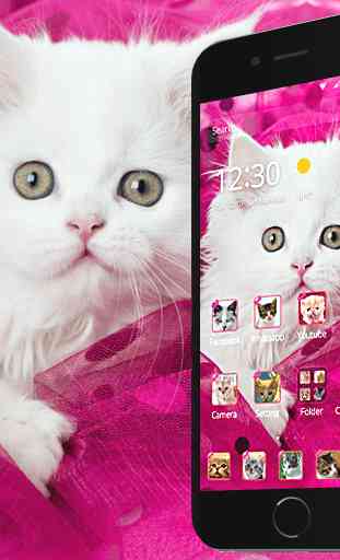 Pink Persian white Cat theme 4