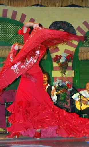 Aprender el baile Flamenco 2